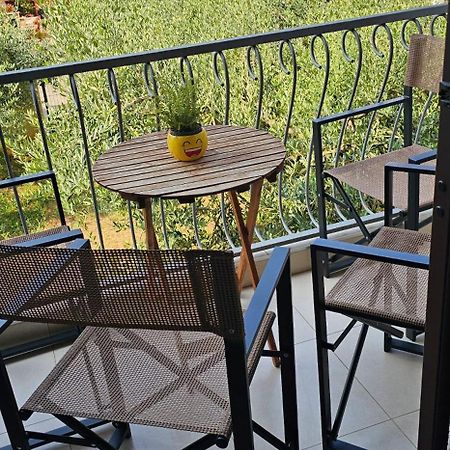 Apartments Legend Rovinj Eksteriør bilde
